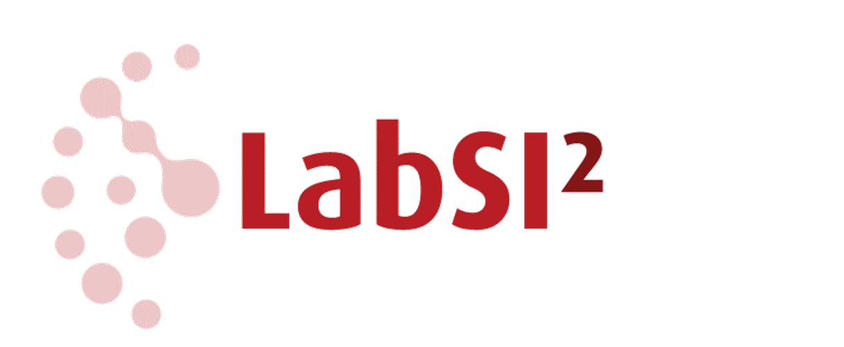 LabSI2's logo