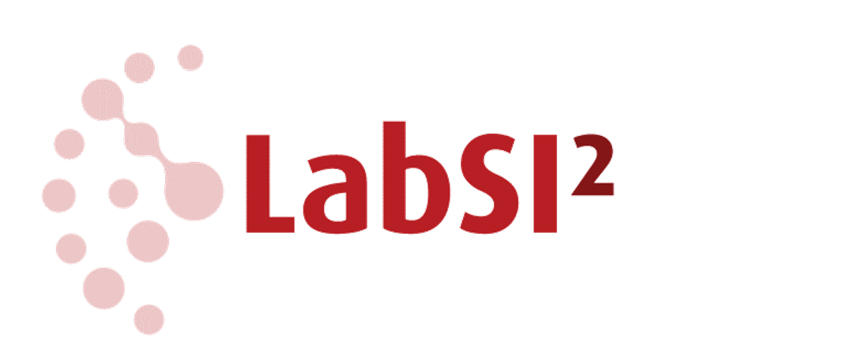 Logo do LabSI2